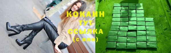 стаф Аркадак