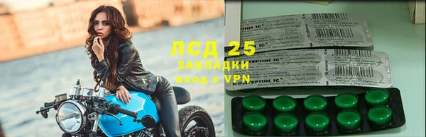 стаф Аркадак