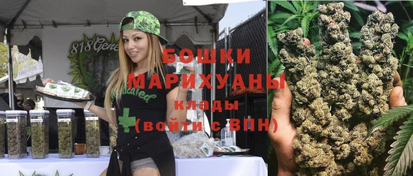 стаф Аркадак