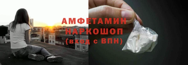 стаф Аркадак