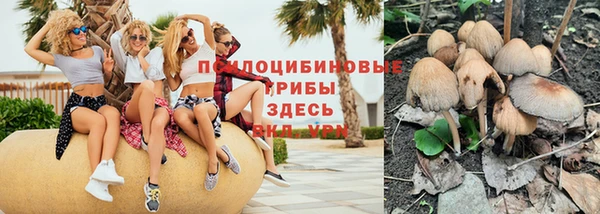 ГАЛЛЮЦИНОГЕННЫЕ ГРИБЫ Арсеньев