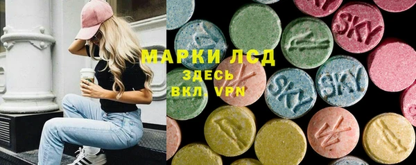 стаф Аркадак