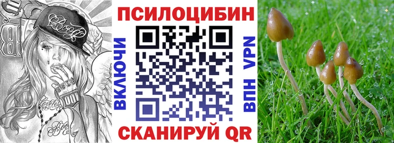 Галлюциногенные грибы Psilocybe  закладки  Калининск 
